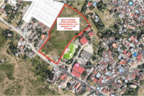 Large Lot in Mactan for Development