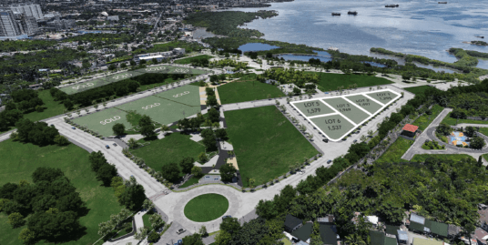 Seagrove Mactan Commercial Lots For Sale