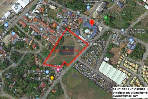 Large Commercial Lot For Sale in Lapu-Lapu