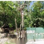 1 hectare lot for sale in Mandaue