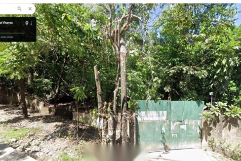 1 hectare lot for sale in Mandaue