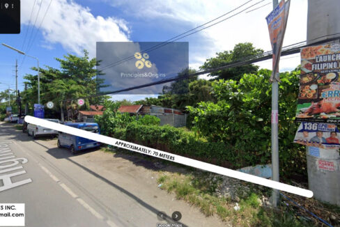 Marigondon Mactan Lot For Sale
