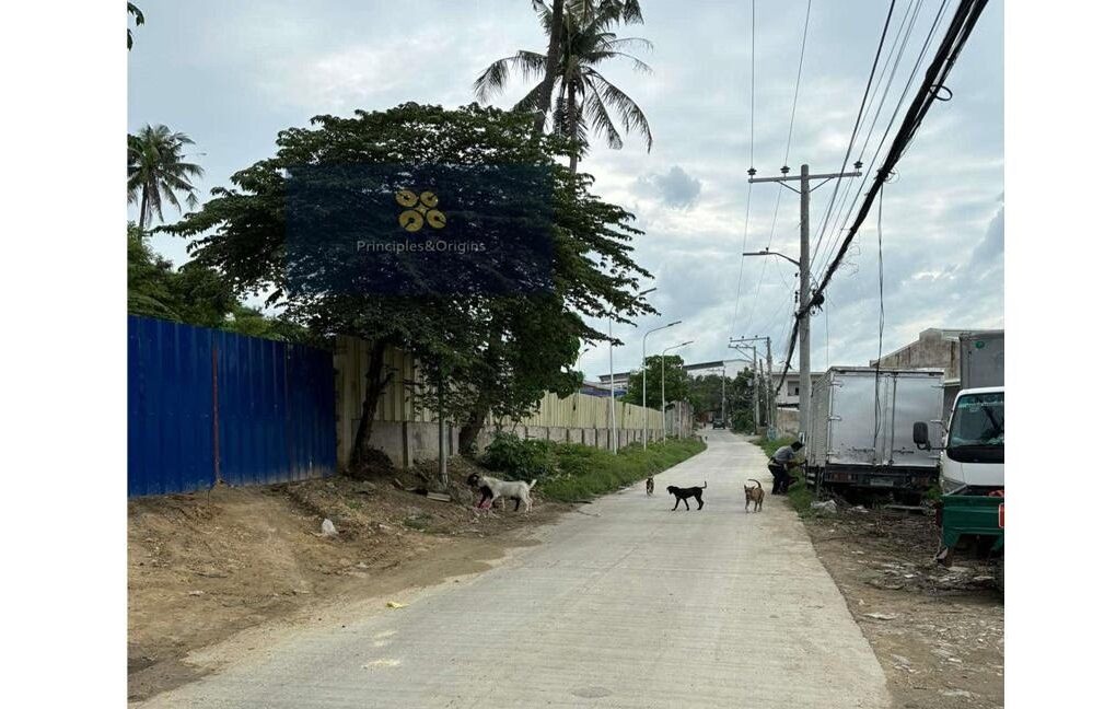 Pagsabungan_Mandaue_4098___Pic_2_1