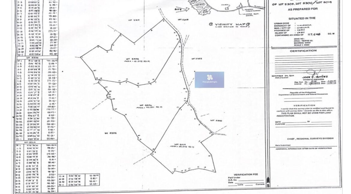 Valencia Carcar 117648 - Overview 2