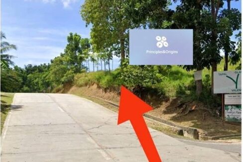 Large Lot for Development Carcar Cebu